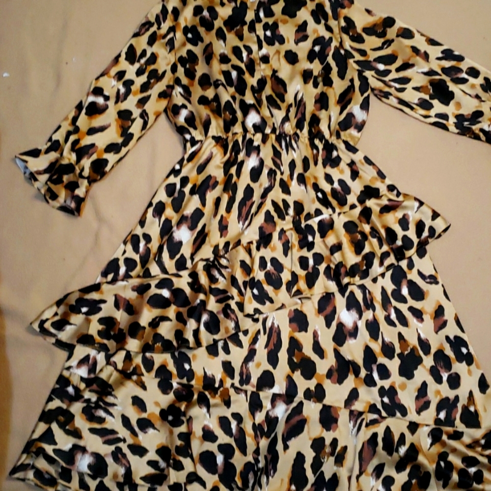 I am selling a see and be seen , Large , leapord print dress